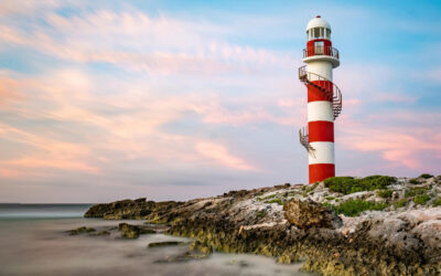 What Are My Retirement Plan Design Options? Part 3: Safe Harbor Plans